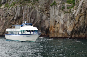 boottour door de Kenai fjorden | Seward